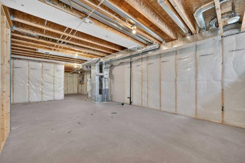 556 Belmont Heath Sw, Calgary, AB - Indoor Photo Showing Basement