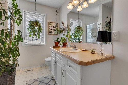 626 Saddlecreek Way Ne, Calgary, AB 