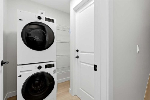 695 Buffaloberry Manor Se, Calgary, AB - Indoor Photo Showing Laundry Room