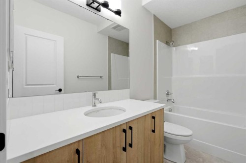 695 Buffaloberry Manor Se, Calgary, AB - Indoor Photo Showing Bathroom