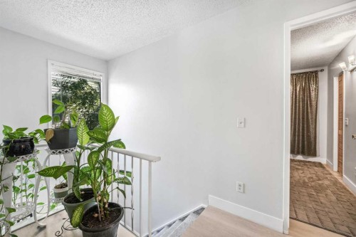 436 Templewood Place Ne, Calgary, AB 