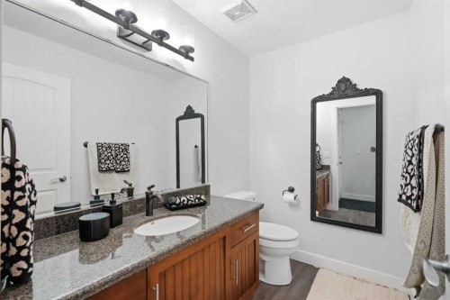 100 Cove Rise, Chestermere, AB - Indoor Photo Showing Bathroom
