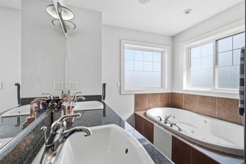 100 Cove Rise, Chestermere, AB - Indoor Photo Showing Bathroom