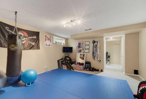 11 Bow Ridge Link, Cochrane, AB 