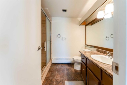 204-3747 42 Street Nw, Calgary, AB - Indoor Photo Showing Bathroom