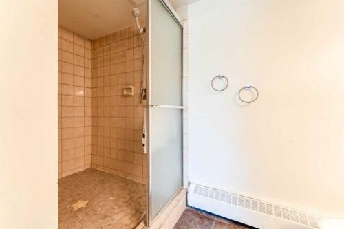 204-3747 42 Street Nw, Calgary, AB - Indoor Photo Showing Bathroom