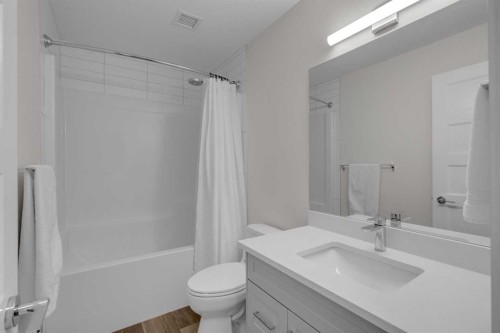 315-55 Wolf Hollow Crescent Se, Calgary, AB - Indoor Photo Showing Bathroom