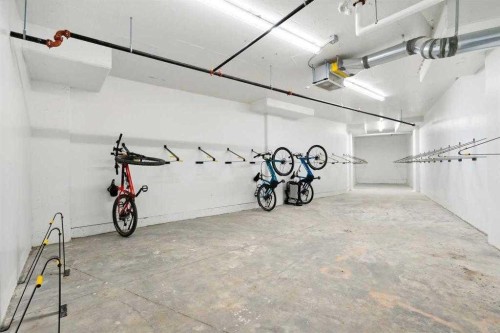 315-55 Wolf Hollow Crescent Se, Calgary, AB - Indoor Photo Showing Garage