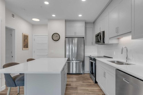 315-55 Wolf Hollow Crescent Se, Calgary, AB - Indoor Photo Showing Kitchen With Stainless Steel Kitchen With Double Sink With Upgraded Kitchen