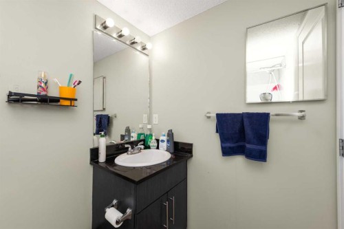 207-5 Saddlestone Way Ne, Calgary, AB - Indoor Photo Showing Bathroom