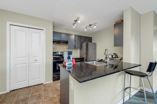 207-5 Saddlestone Way Ne, Calgary, AB - Indoor Photo Showing Kitchen With Double Sink