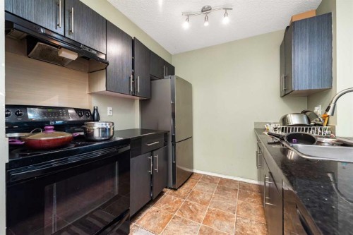 207-5 Saddlestone Way Ne, Calgary, AB - Indoor Photo Showing Kitchen With Double Sink
