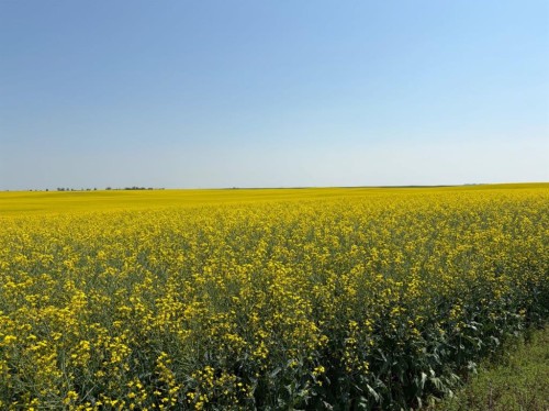 232 Red Tail Ridge Se, High River, AB - Outdoor With View