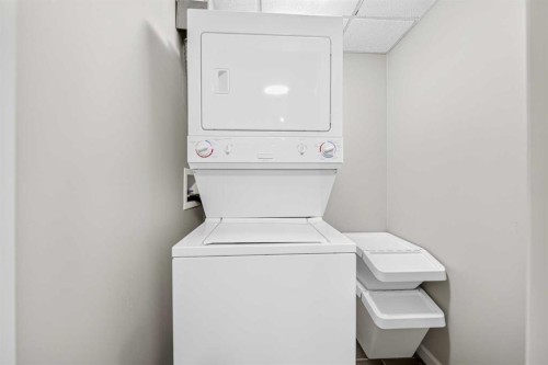 409-210 15 Avenue Se, Calgary, AB - Indoor Photo Showing Laundry Room