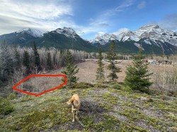 16 Yamnuska Place  Exshaw, AB T0L 2C0