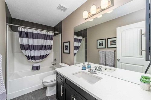 220 Copperpond Green Se, Calgary, AB - Indoor Photo Showing Bathroom