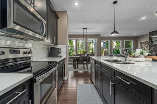 220 Copperpond Green Se, Calgary, AB - Indoor Photo Showing Kitchen With Double Sink With Upgraded Kitchen