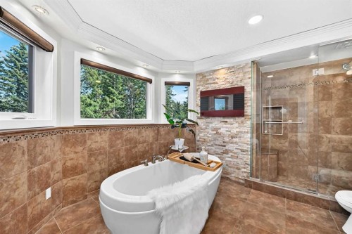 884 East Chestermere Drive, Chestermere, AB - Indoor Photo Showing Bathroom