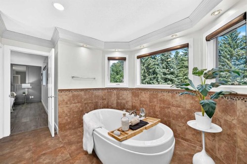 884 East Chestermere Drive, Chestermere, AB - Indoor Photo Showing Bathroom