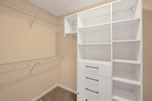 229 Calhoun Crescent Ne, Calgary, AB 