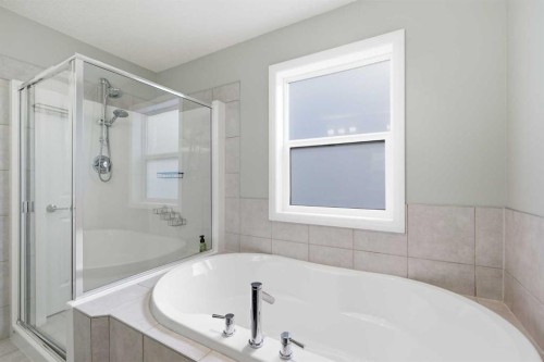 117 Auburn Glen Drive Se, Calgary, AB - Indoor Photo Showing Bathroom