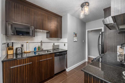301-1908 28 Avenue Sw, Calgary, AB - Indoor Photo Showing Kitchen