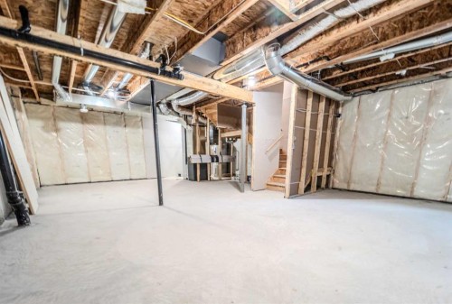124 Waterford Way, Chestermere, AB - Indoor Photo Showing Basement
