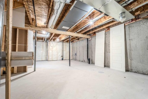 124 Waterford Way, Chestermere, AB - Indoor Photo Showing Basement