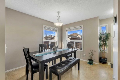 33 Saddlebrook Common Ne, Calgary, AB 