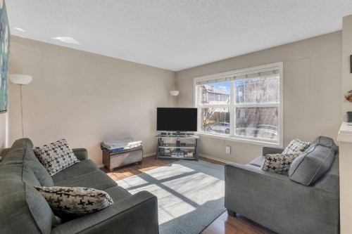 33 Saddlebrook Common Ne, Calgary, AB 