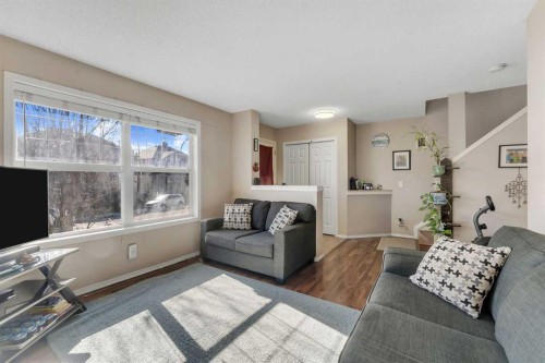 33 Saddlebrook Common Ne, Calgary, AB 