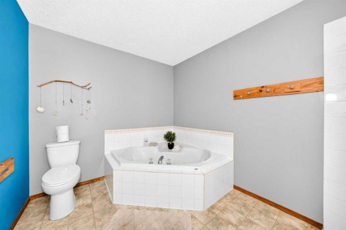 32 Cimarron Meadows Way, Okotoks, AB - Indoor Photo Showing Bathroom