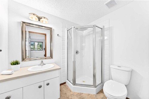 32 Cimarron Meadows Way, Okotoks, AB - Indoor Photo Showing Bathroom