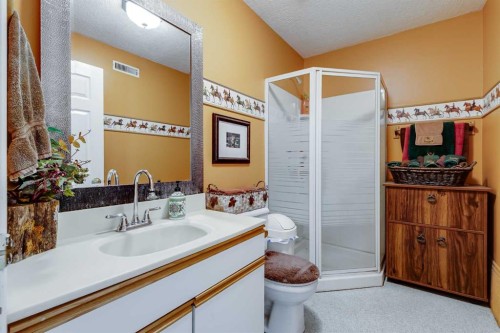 51328 Range Road 231, Sherwood Park, AB - Indoor Photo Showing Bathroom