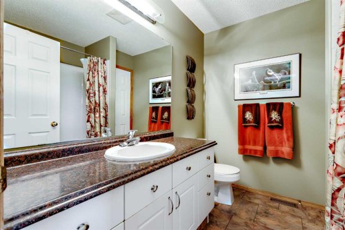 51328 Range Road 231, Sherwood Park, AB - Indoor Photo Showing Bathroom