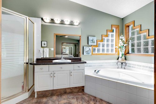 51328 Range Road 231, Sherwood Park, AB - Indoor Photo Showing Bathroom