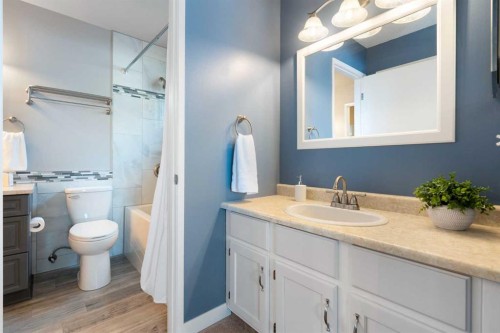 32 Beddington Road Ne, Calgary, AB - Indoor Photo Showing Bathroom