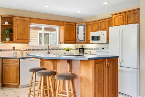 32 Beddington Road Ne, Calgary, AB - Indoor Photo Showing Kitchen
