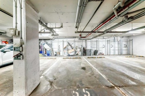 4302-755 Copperpond Boulevard Se, Calgary, AB - Indoor Photo Showing Garage
