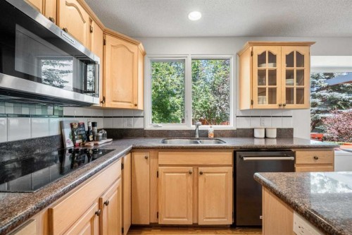 120 Lake Placid Road Se, Calgary, AB - Indoor Photo Showing Kitchen With Double Sink