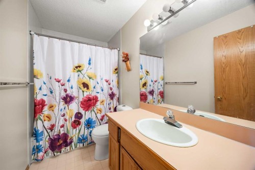 107 Hampshire Close Nw, Calgary, AB - Indoor Photo Showing Bathroom