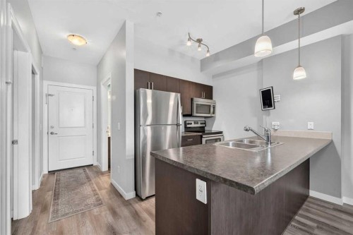 101-117 Copperpond Common Se, Calgary, AB - Indoor Photo Showing Kitchen With Stainless Steel Kitchen With Double Sink