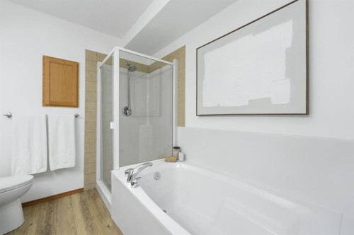 2020 Bridlemeadows Manor Sw, Calgary, AB - Indoor Photo Showing Bathroom