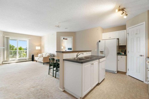 409-290 Shawville Way Se, Calgary, AB - Indoor Photo Showing Kitchen With Double Sink