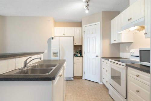 409-290 Shawville Way Se, Calgary, AB - Indoor Photo Showing Kitchen With Double Sink