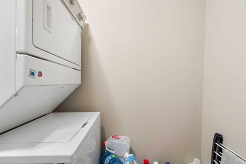 409-290 Shawville Way Se, Calgary, AB - Indoor Photo Showing Laundry Room