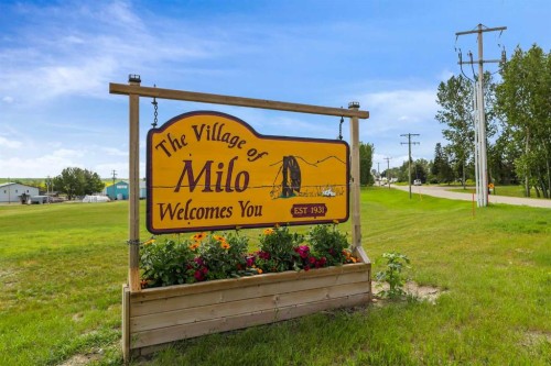 101 Majorville Close, Milo, AB 