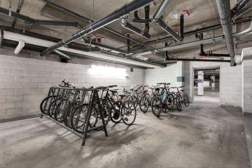 244-8535 Bonaventure Drive Se, Calgary, AB - Indoor Photo Showing Garage