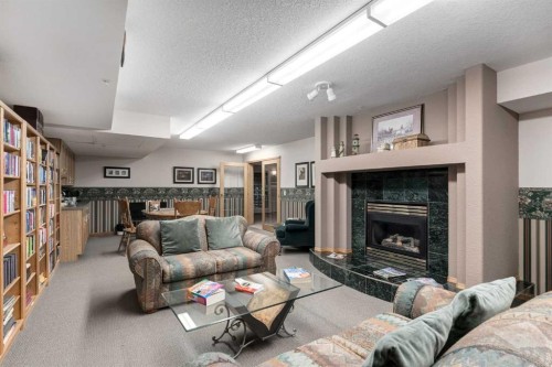 244-8535 Bonaventure Drive Se, Calgary, AB - Indoor Photo Showing Living Room With Fireplace