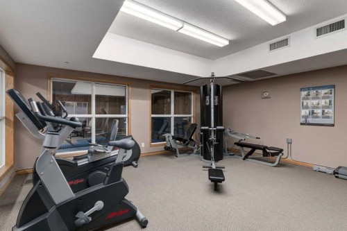 244-8535 Bonaventure Drive Se, Calgary, AB - Indoor Photo Showing Gym Room